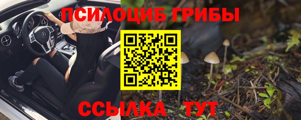 Псилоцибиновые грибы ЛСД Кисловодск