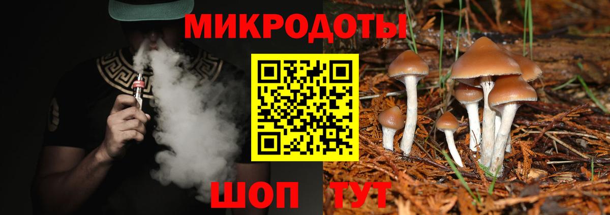 Галлюциногенные грибы мицелий  Вход с VPN  Псилоцибиновые грибы GOLDEN TEACHER  как найти наркотики  Кисловодск 